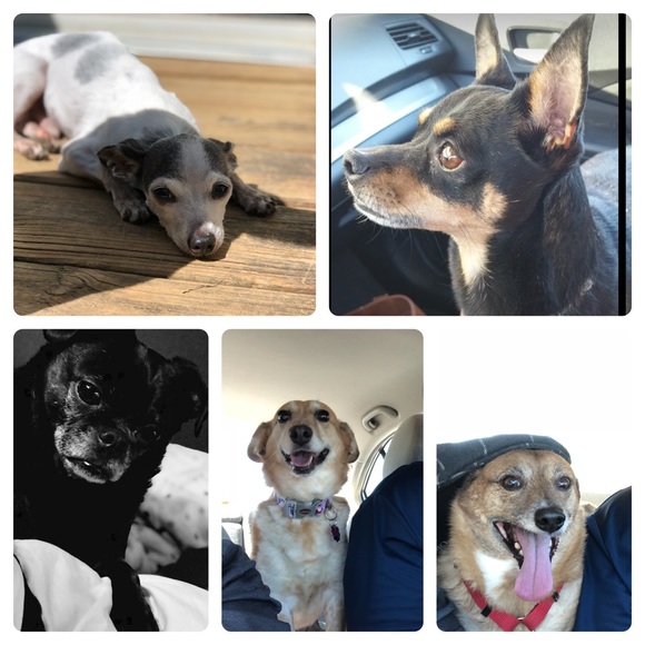 Meet your Posher, Sandra - Picture 2 of 6